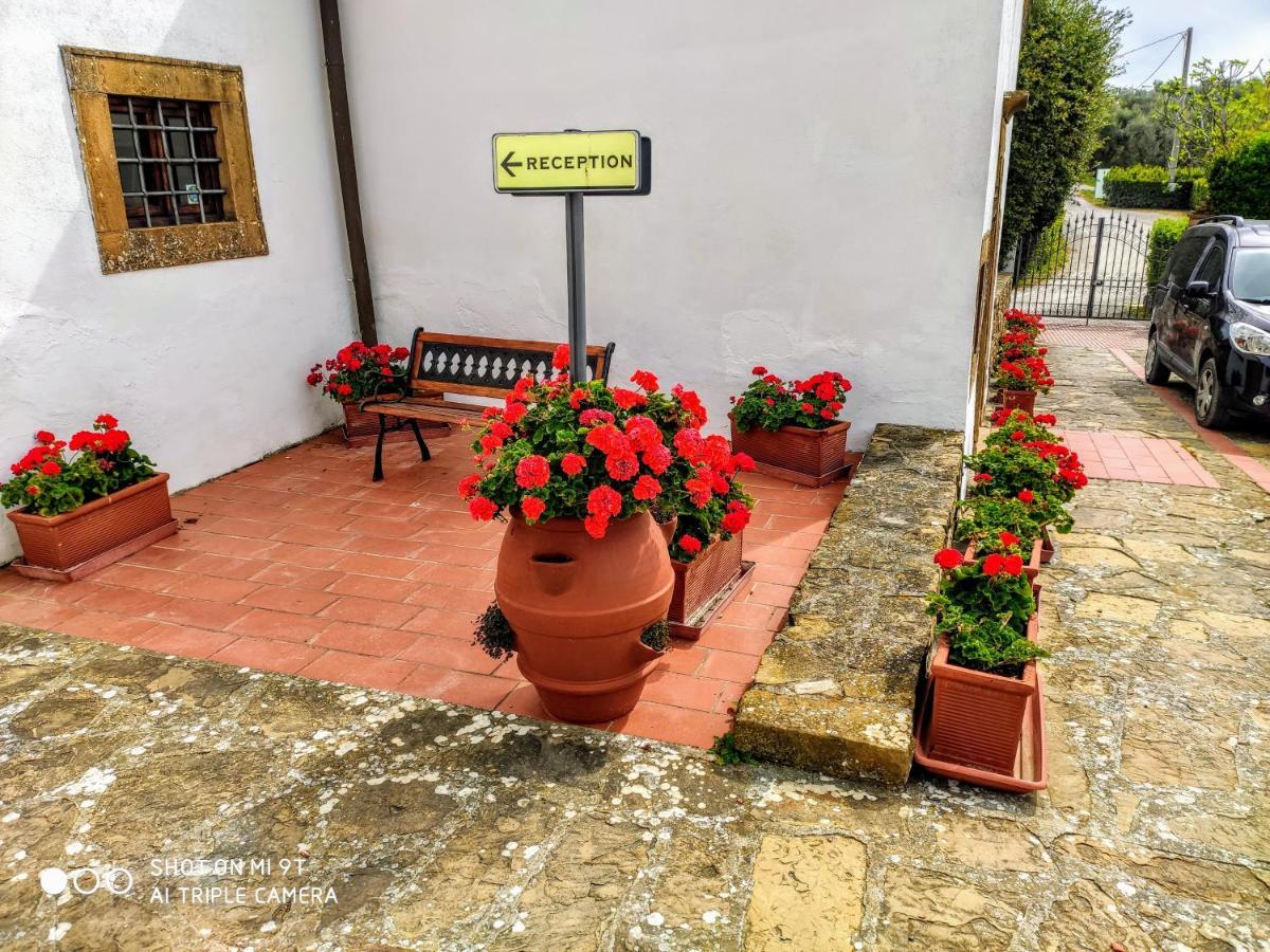 Borgo La Casaccia Apartamento Montaione Exterior foto